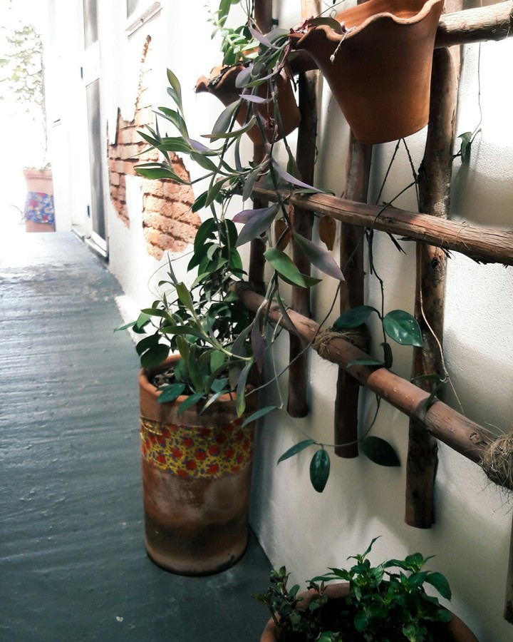 Natureza