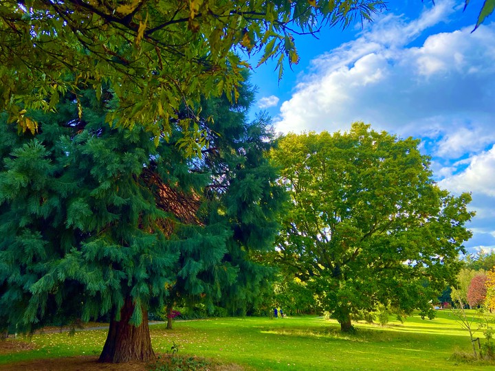 #natura