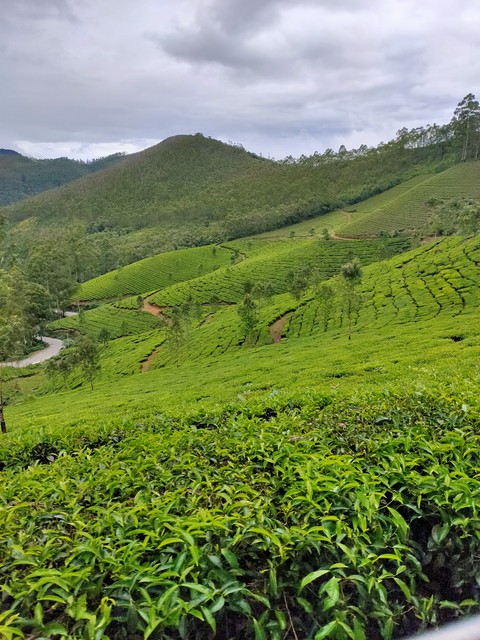 munnar
