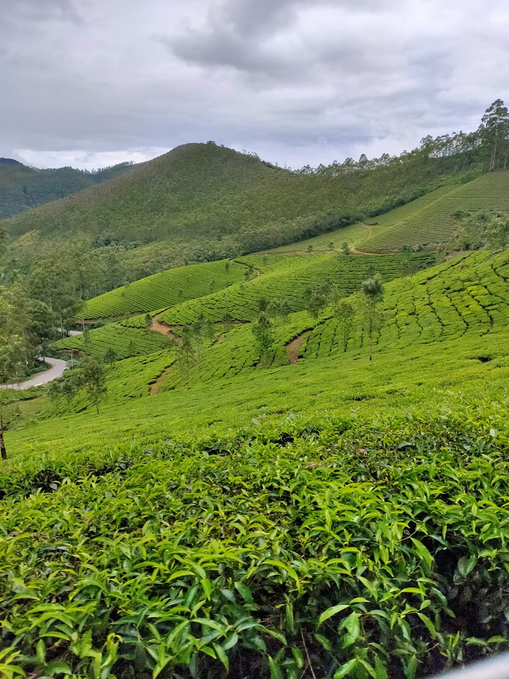 munnar