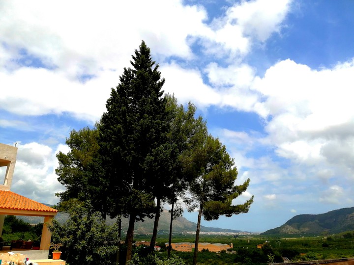Nature