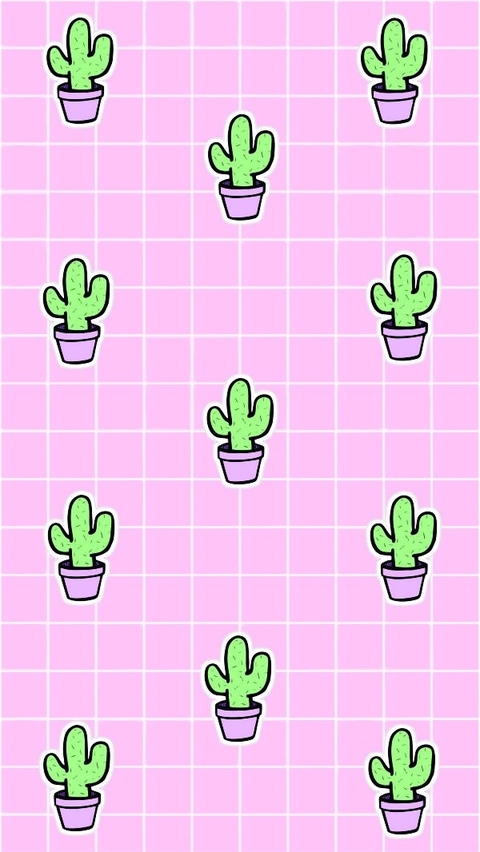 обои