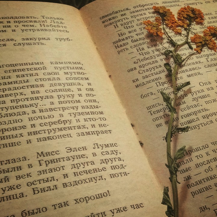 Мгновение в строке.