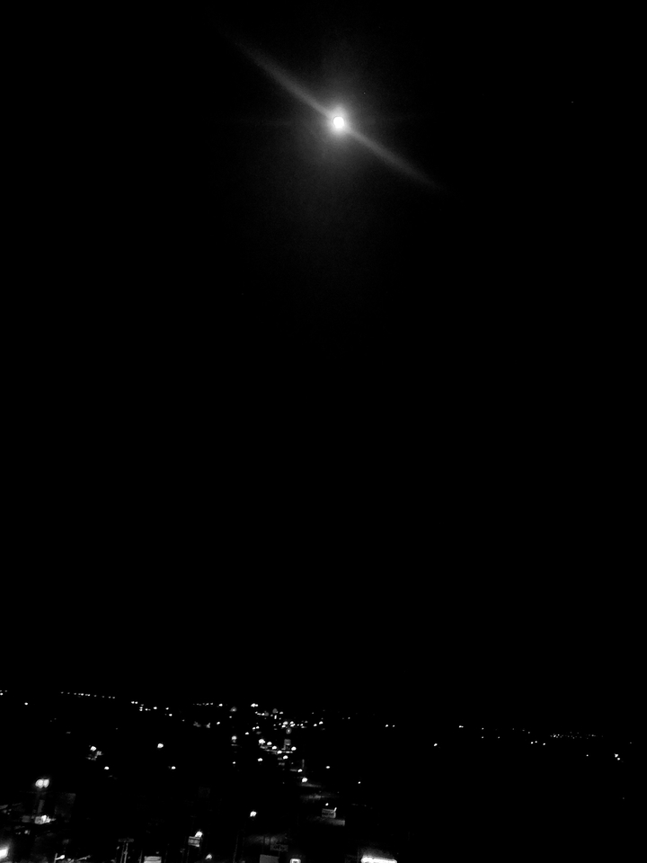 black world