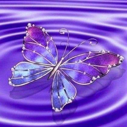 Mariposa
