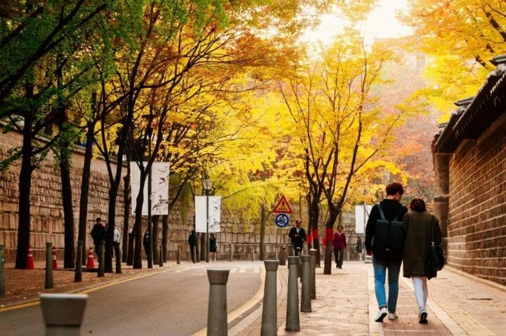 한국의 美9