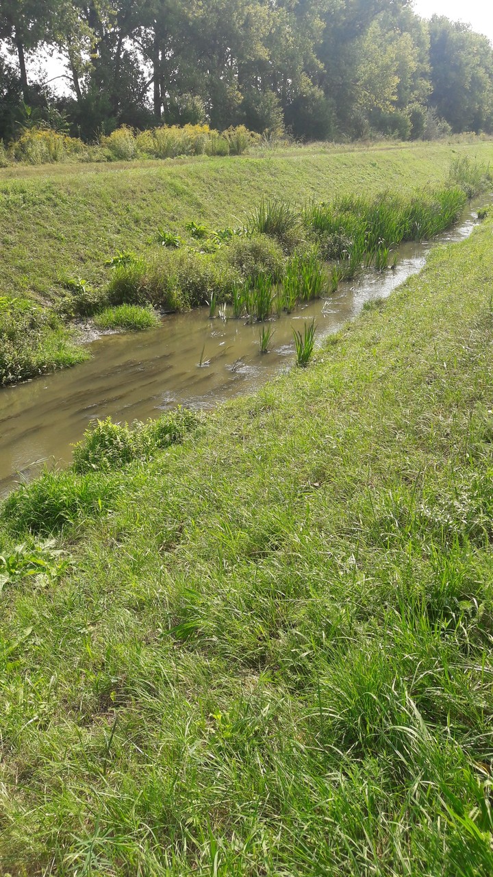 Water and relax