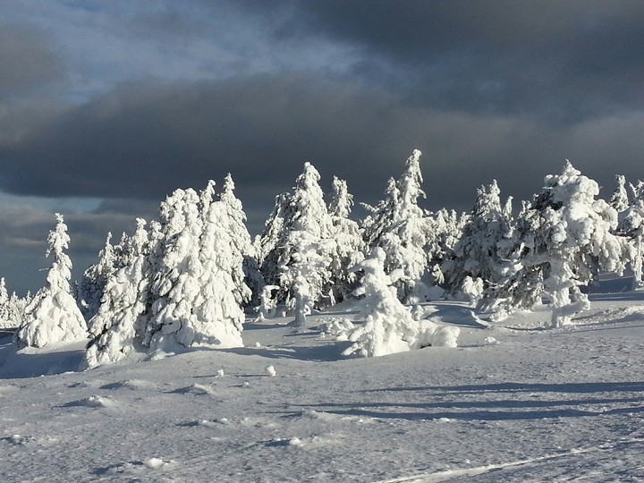 Winter auf dem Brocken