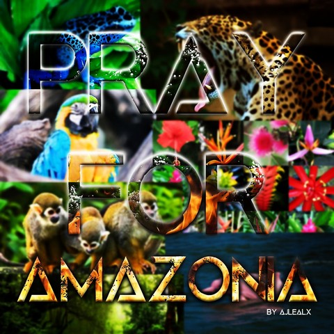 #prayforamazonia