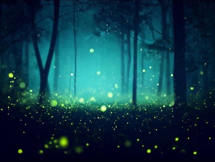 .