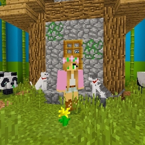 Minecraft