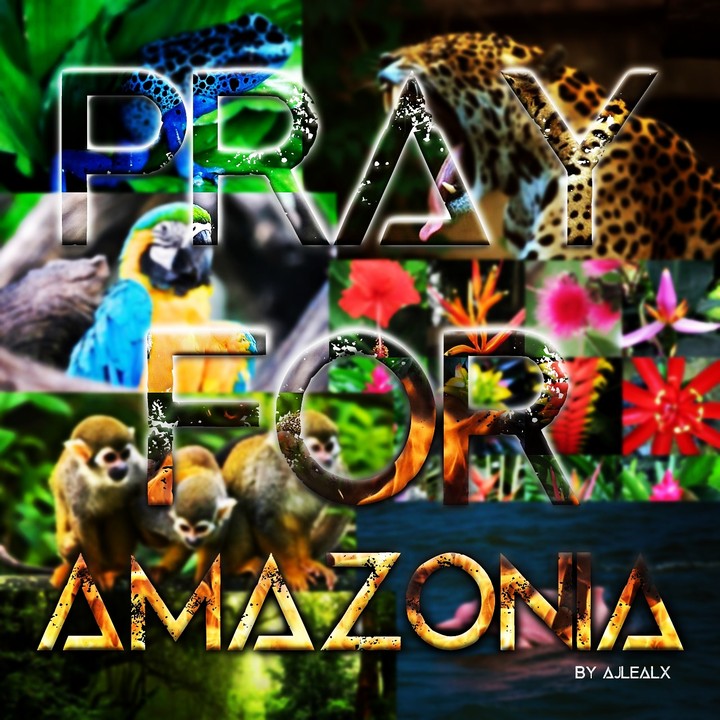 #prayforamazonia