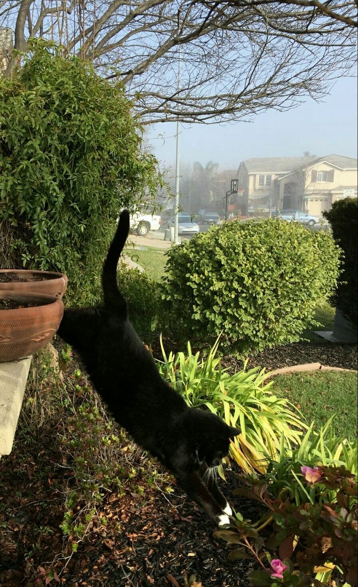 Leap of Faith