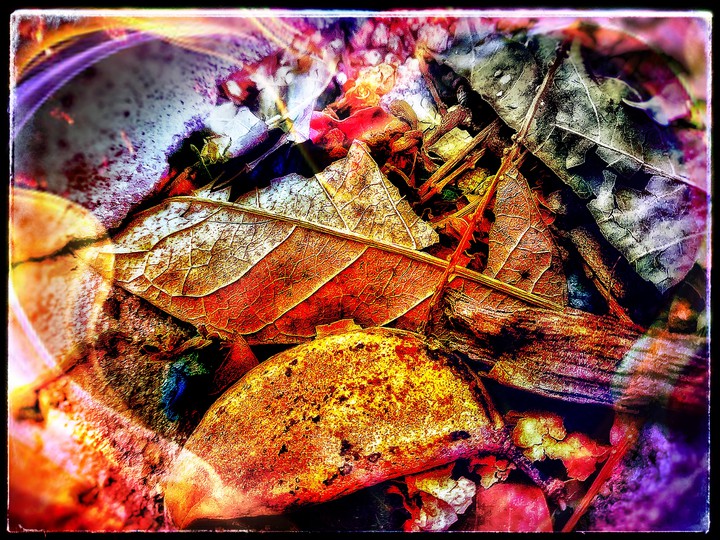 Nature... with artificial.... pic