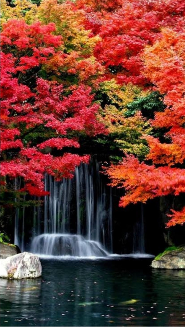 waterfall