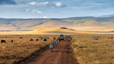 plain, prairie wallpapers