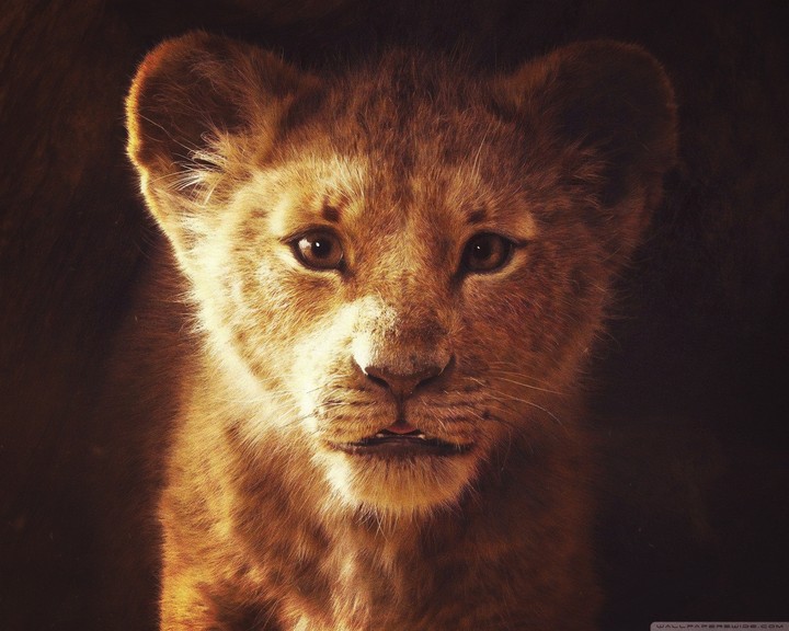 lindo!