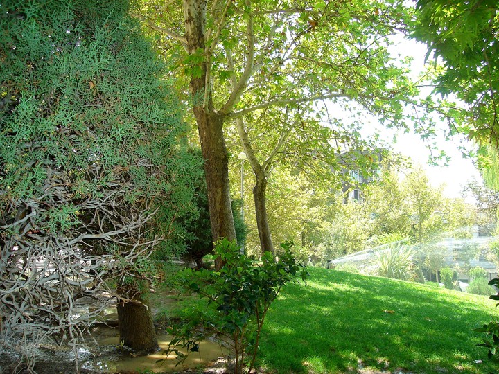 Iran-Tehran-Pasdaran-Orkideh park