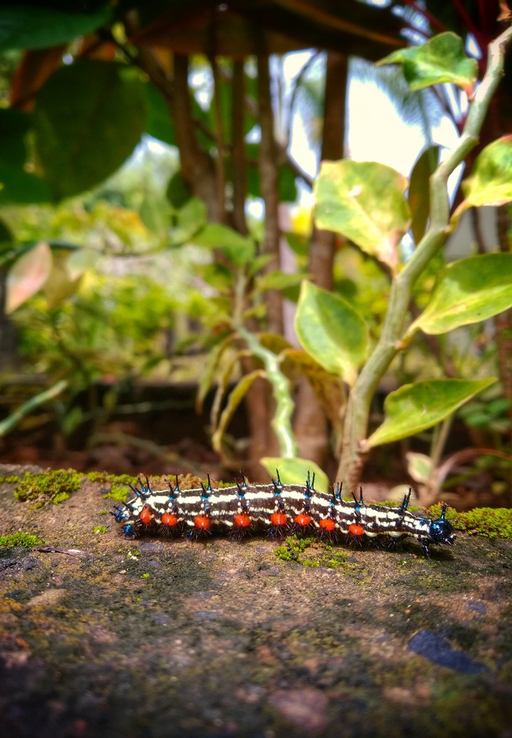 nature miracles