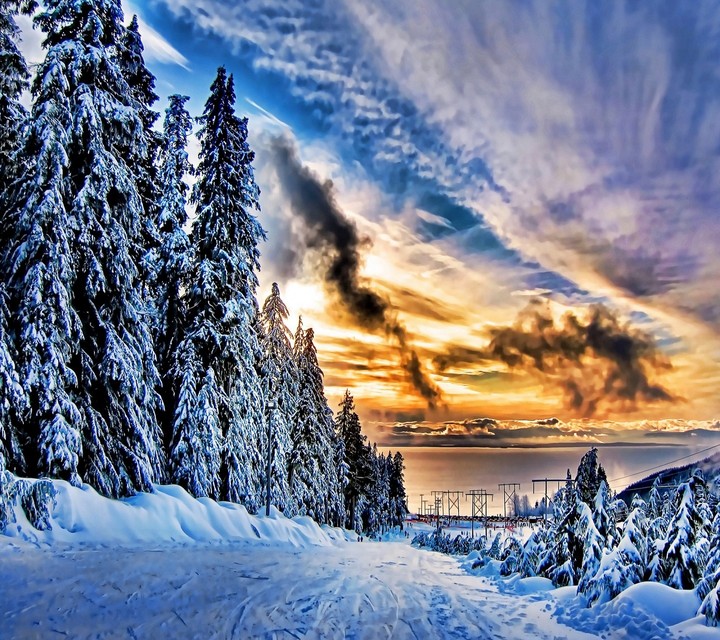 winter