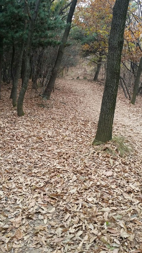 이불