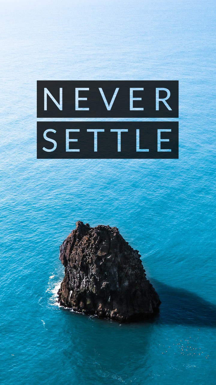 Never settle