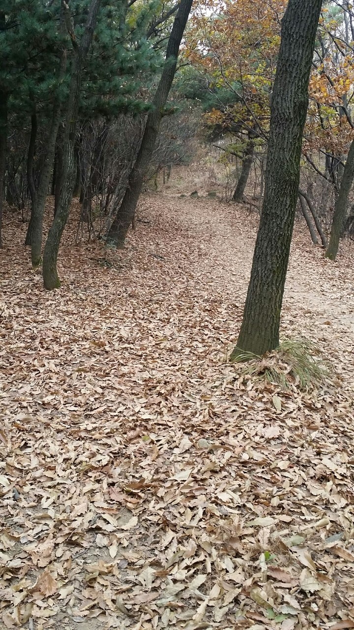 이불
