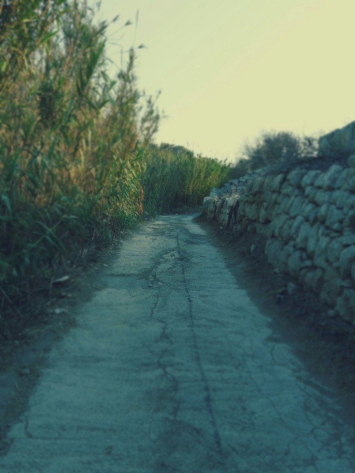 Selmun Malta