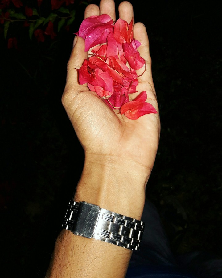 My hand and flower