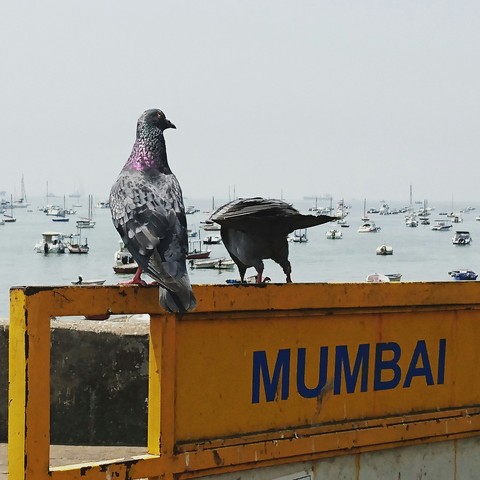 Mumbai