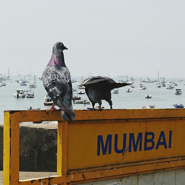 Mumbai