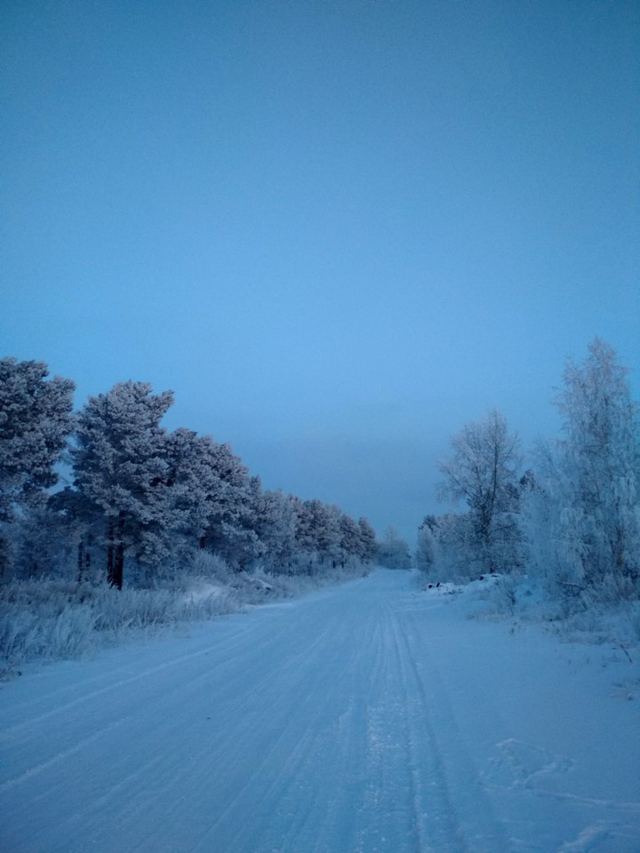 -28 (C)