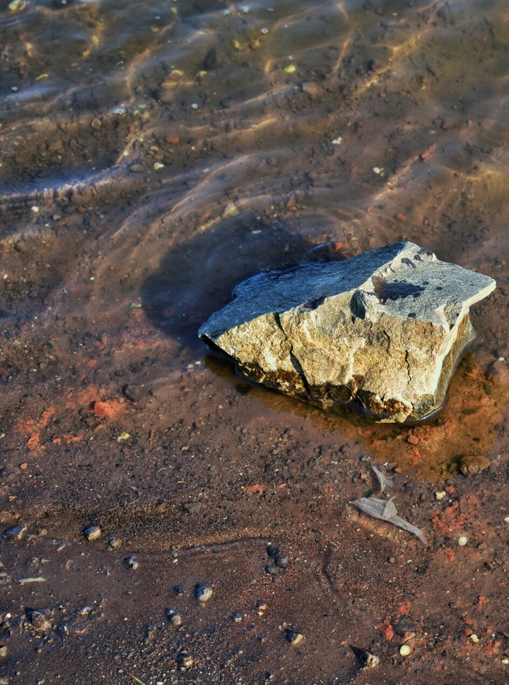 beach rock