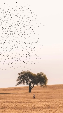 make your own path no matter where you are