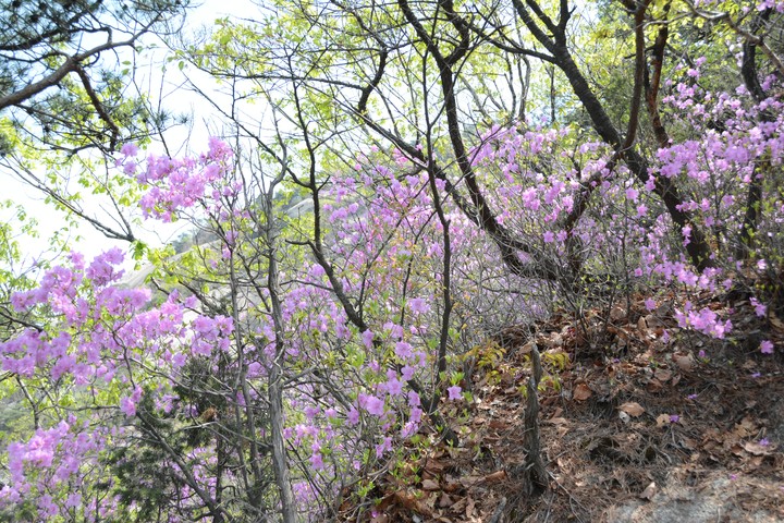 수락산이미지