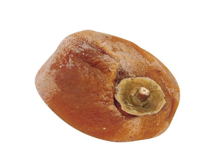 음식이미지