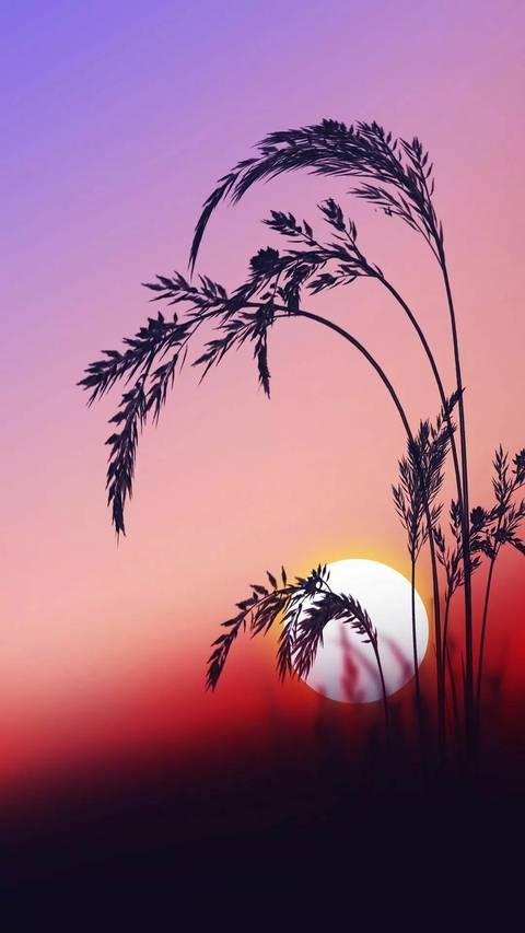 Nice view of nature.