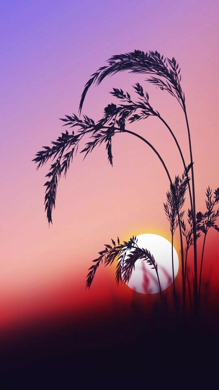 Nice view of nature.
