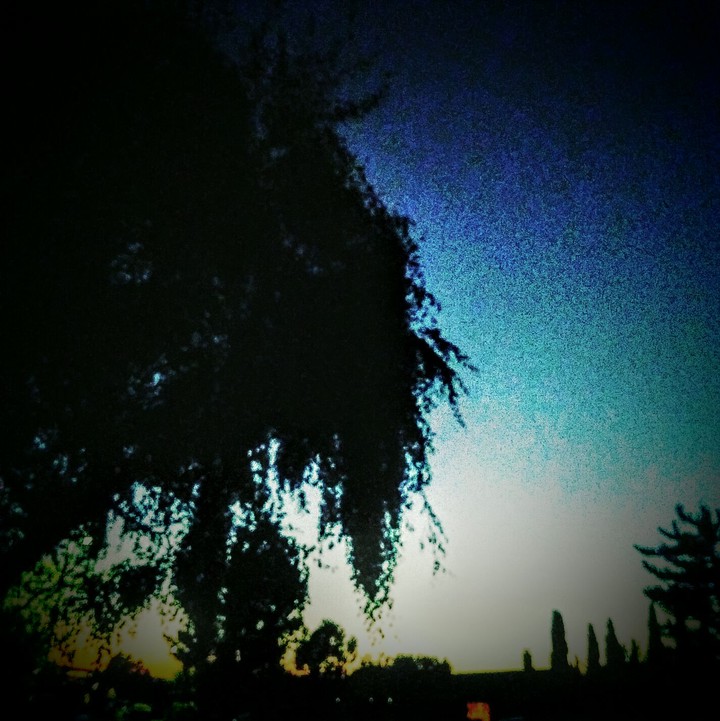 night