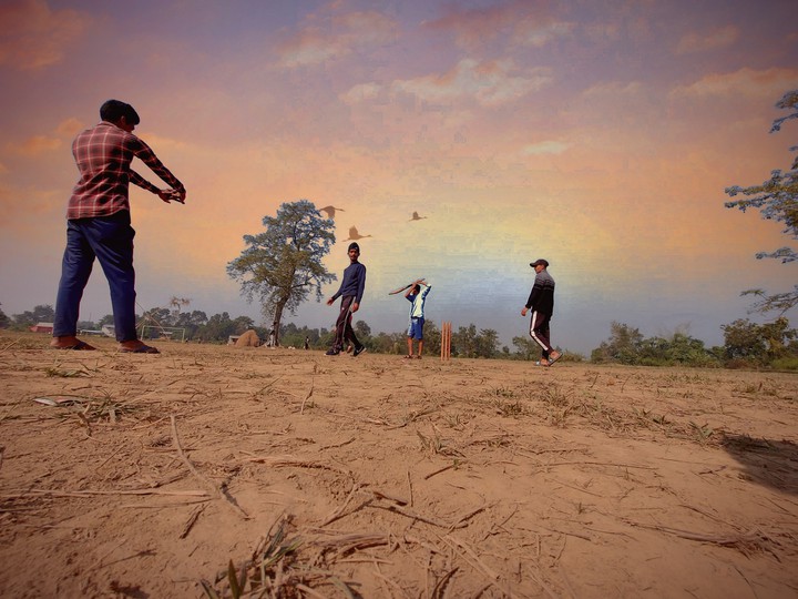 Local Cricket