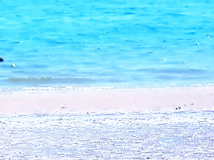 함께