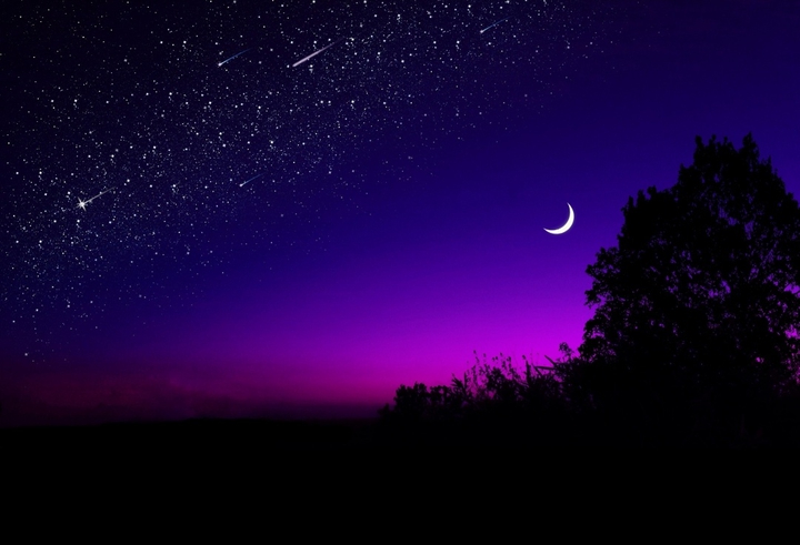 mesmerizing nightout