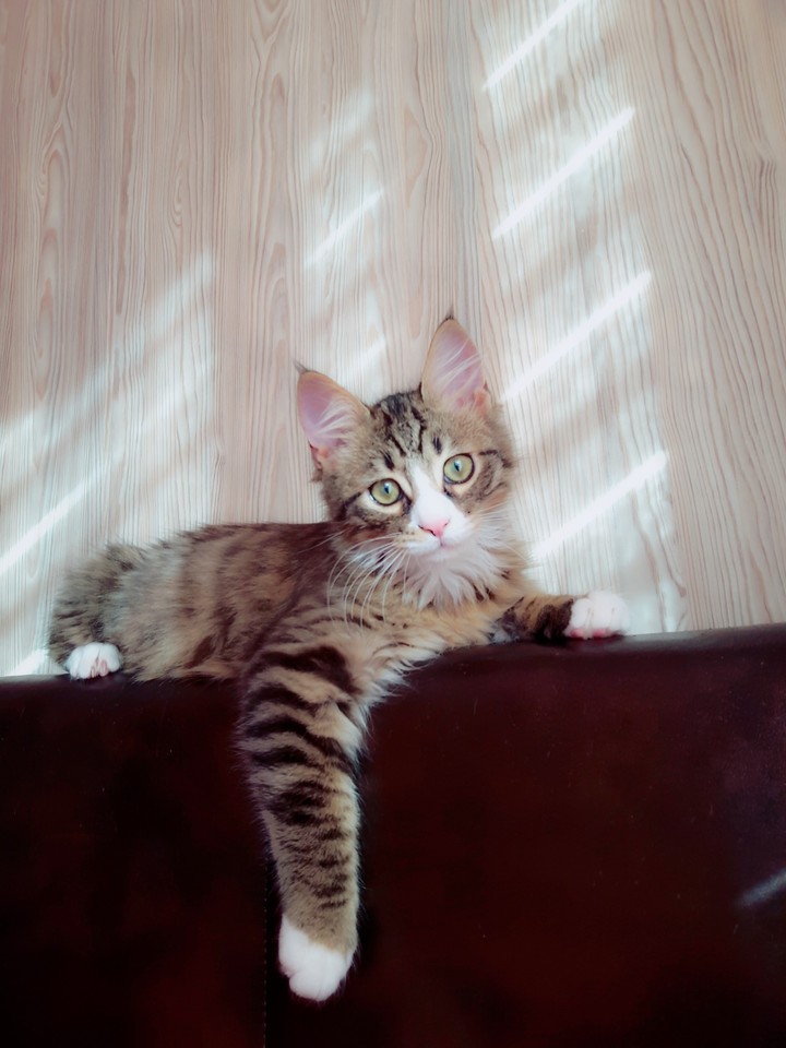 my baby