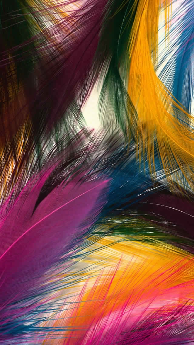 Colours of life