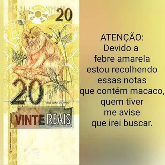 kkkk