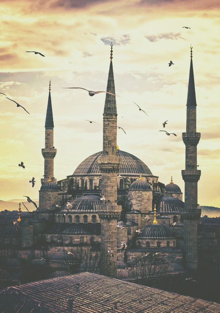 Sultan Majid