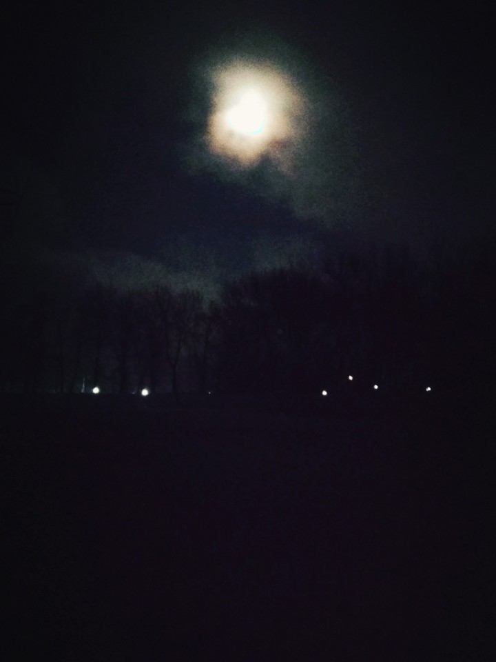 Night