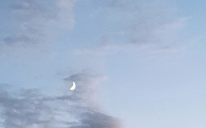 Moon