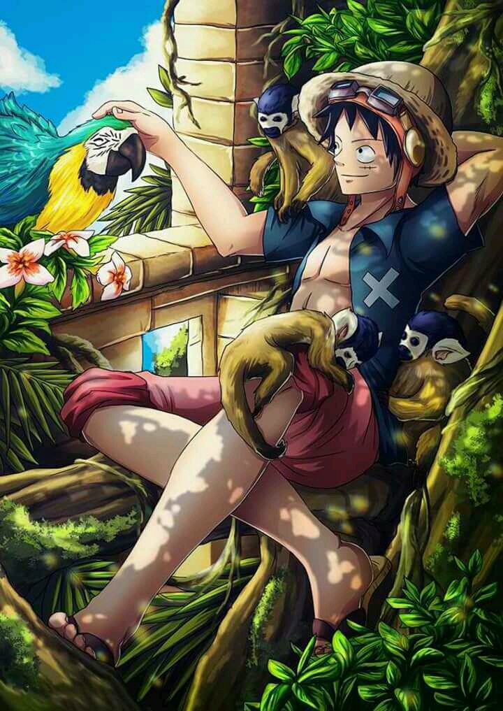 Luffy