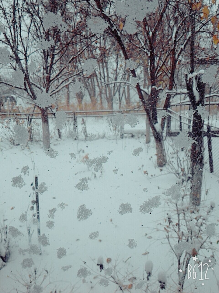 MY WINTER